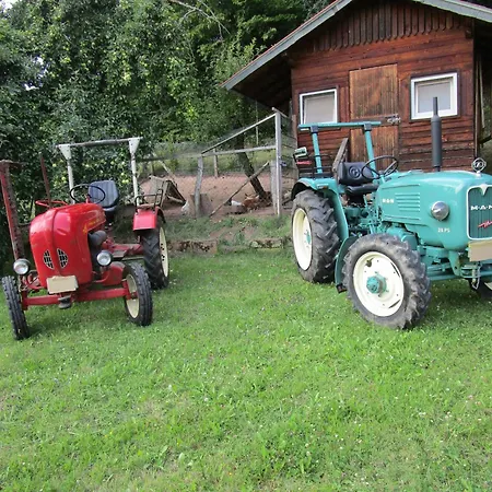 Geistalblick Apartment *